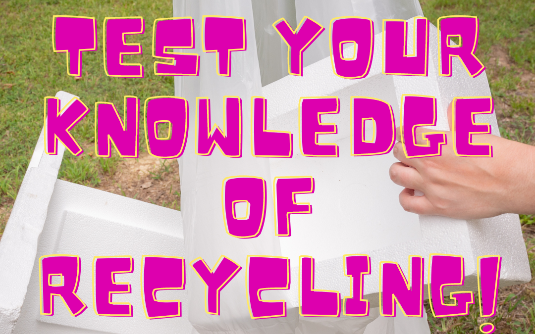 Take the recycling quiz challenge!