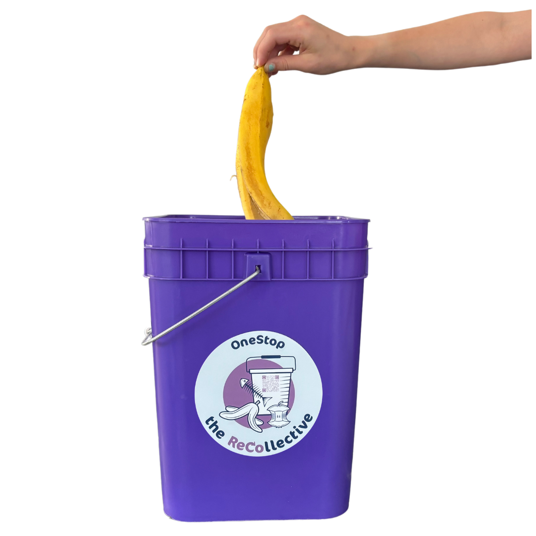 Purple bin for food scraps composting service