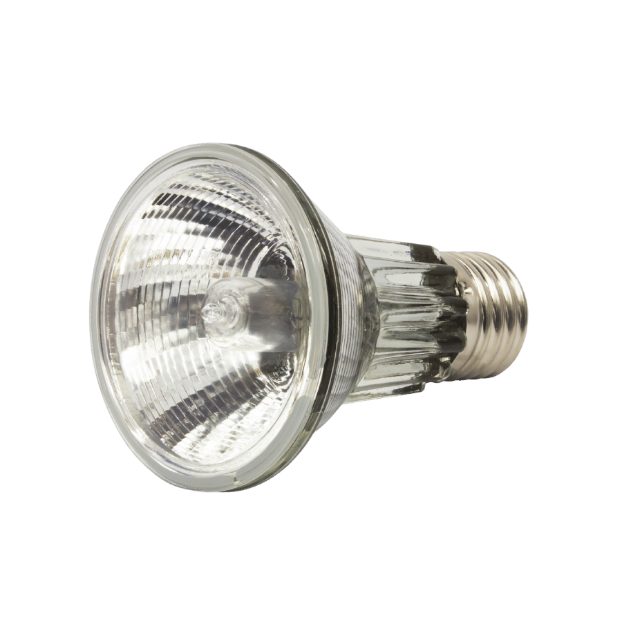 Example halogen light bulb
