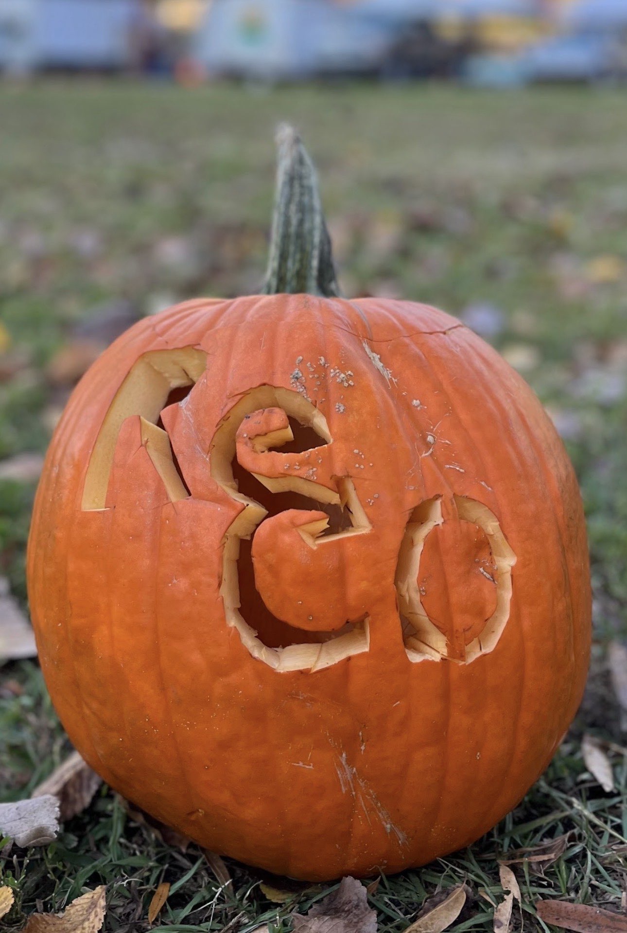 Pumpkins and finished compost from The ReCollective